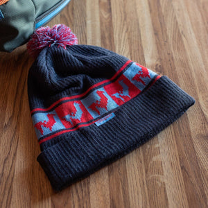 Quito Pom Beanie - FINAL SALE